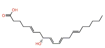 (R)-8-Hydroxy-5,9,11,14-eicosatetraenoic acid